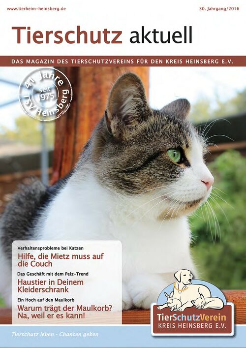 Titelbild des Magazins Tierschutz aktuell 2016 mit einer europäischen Hauskatze die in die Ferne blickt
